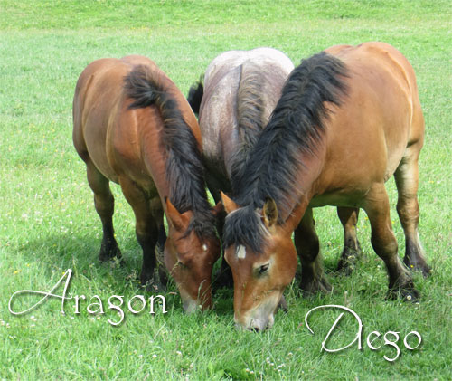 Aragon et Diego