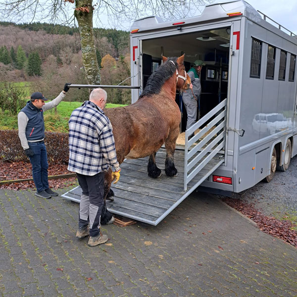 Canada 02/12/2025 16