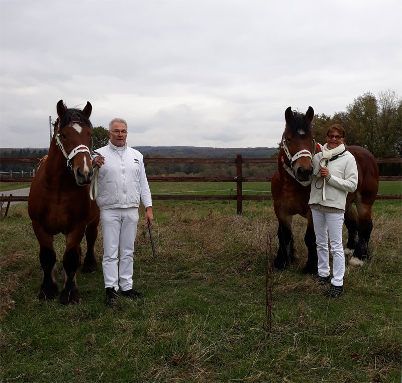 Garou Emir Koerung 800