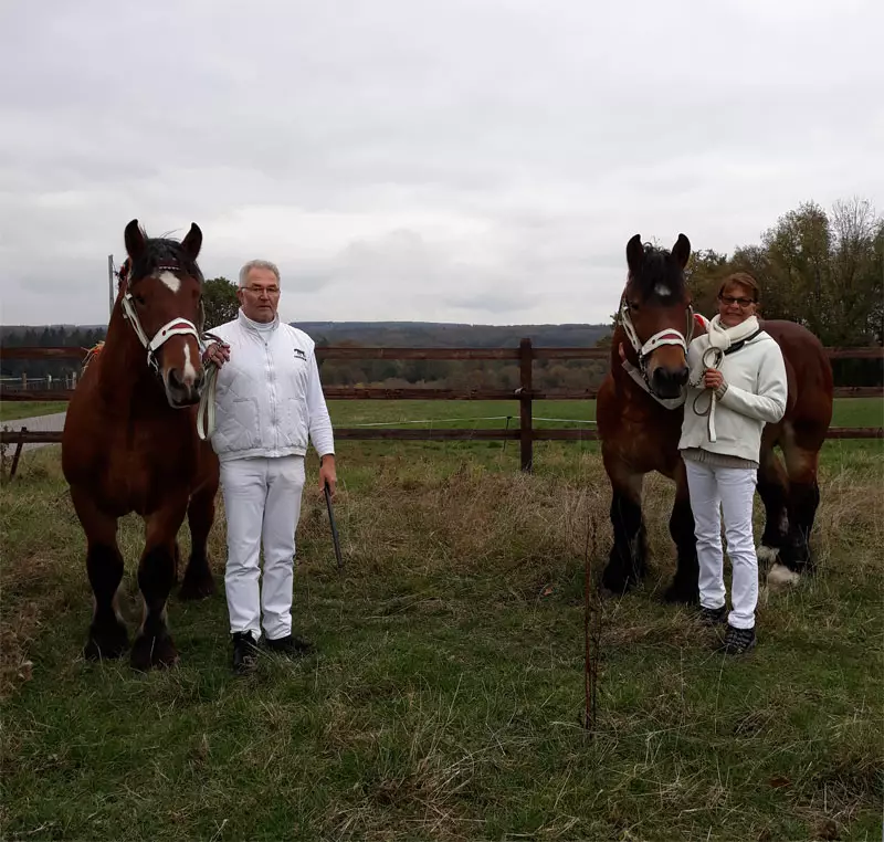 Garou Emir Koerung 800
