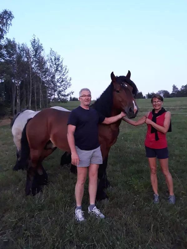 Tanea Fohlen 2019 1 600