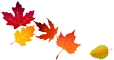 Herbstblätter 1 60