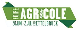 Logo FAE 2017