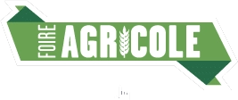 Logo FAE 2024