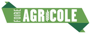 Logo FAE 300