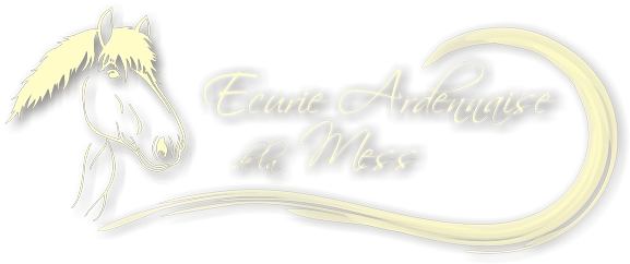 Logo banner head