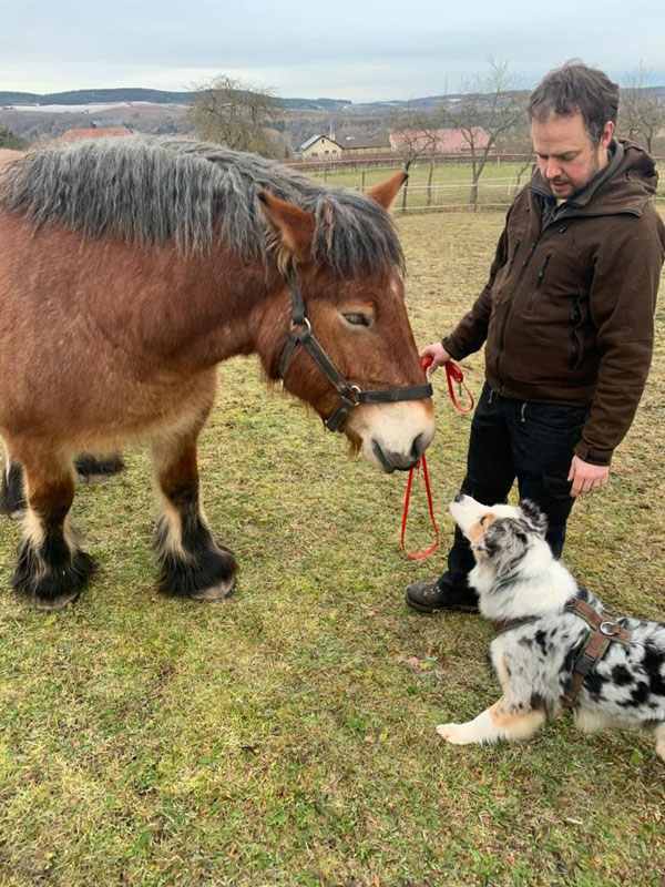 Maicha und sein neuer Besitzer