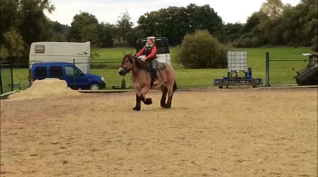 Raisse Westerausbildung 2016