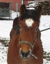 Portrait von Rina de la Mess