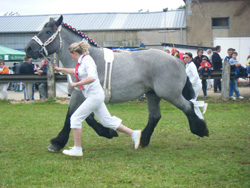 ROUDENHAFF 2011