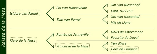 Stammbaum raissa dlm