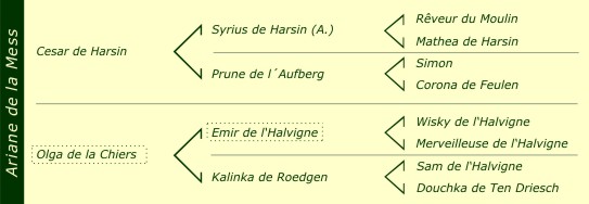 Pédigré Ines de la Mess