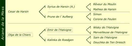 Pédigré Ines de la Mess
