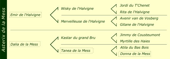 Pédigré Asterix de la Mess