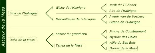 Pédigré Asterix de la Mess