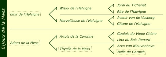 Pédigré Bijoux de la Mess