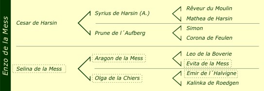 Pédigré Enzo de la Mess
