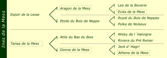 Pédigré Ines de la Mess