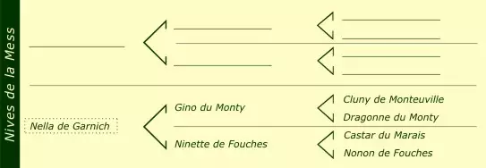 Stammbaum Nives de la Mess