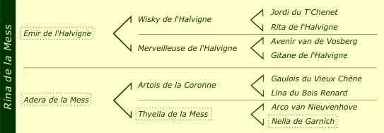 Pédigrée Rina de la Mess