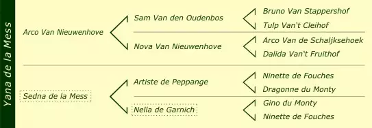 Stammbaum Yana de la Mess