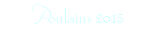 Titre article poulains2015