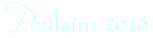 Titre contenu poulains2016 153