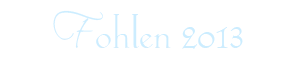 Fohlen 2013