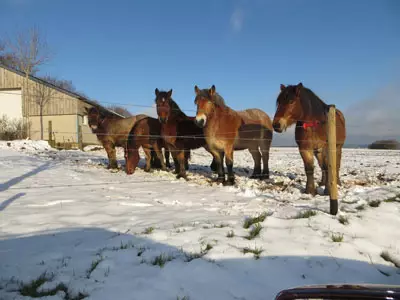 Winterfeelings 1