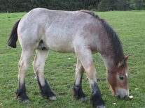Xandor IMG 3462 155