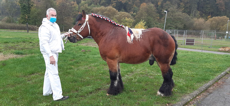 Emir de l'Halvigne