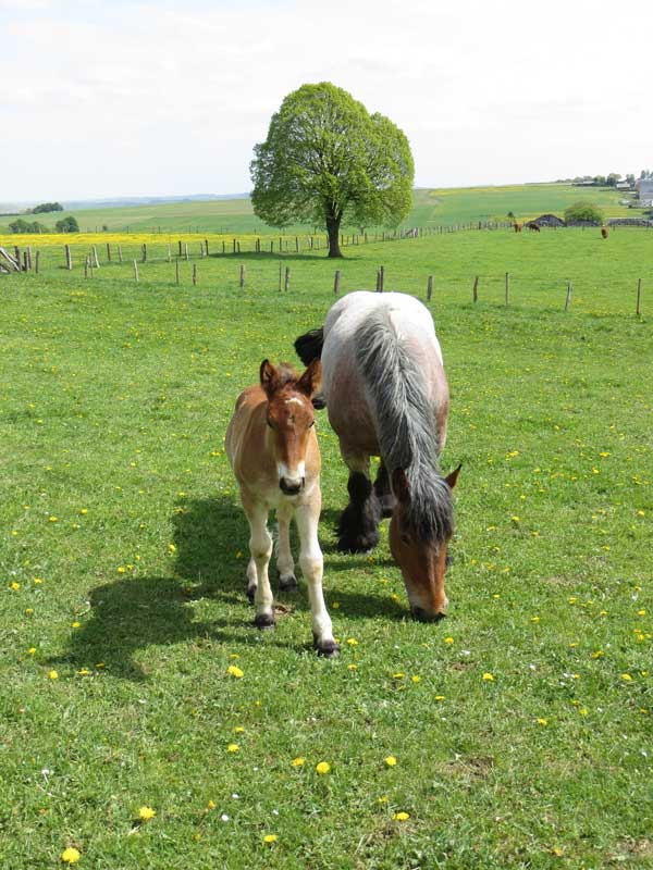Kirina & Fabio