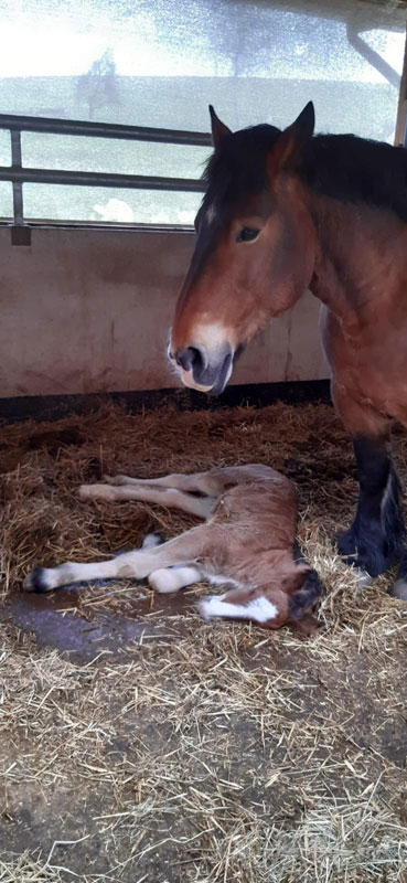 Adera & Kenso