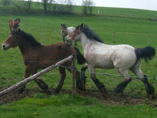 Donna & Adera