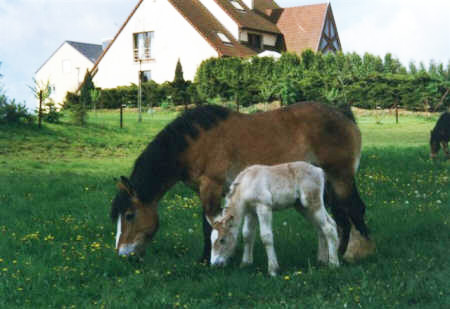 Cora & Aïcha