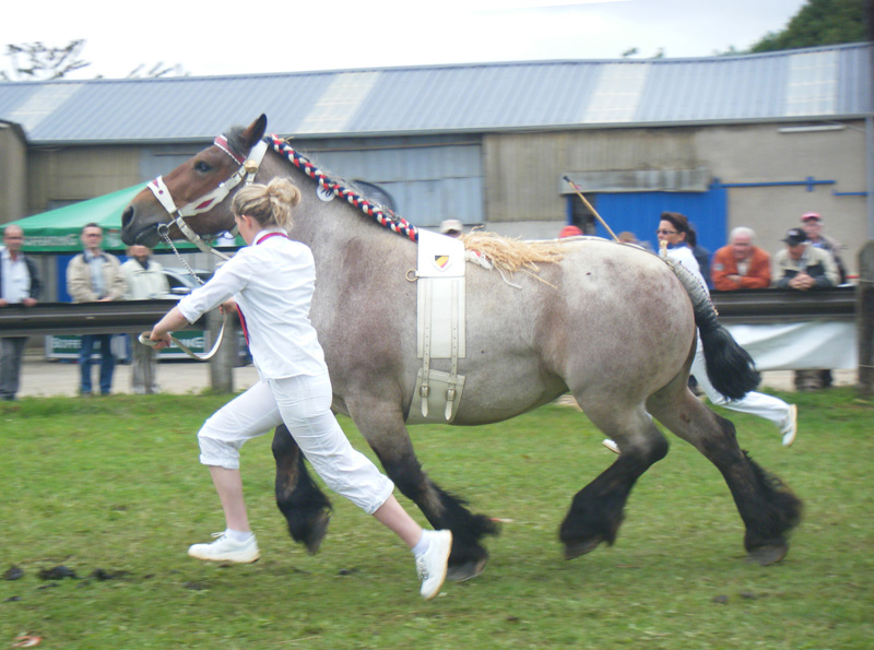 Athena de la Mess