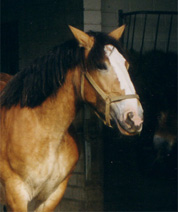 Cora de Limpach