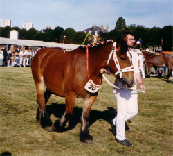 Cora de Limpach