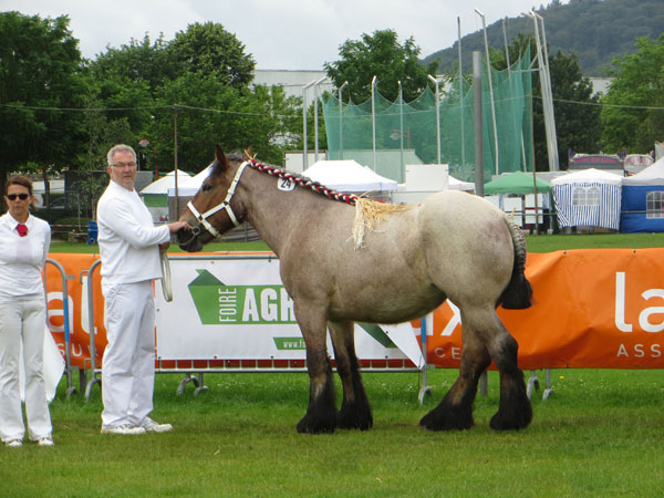 Kirina FAE 2016