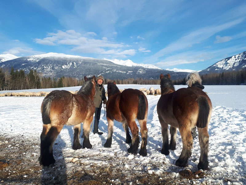 Voyage vers le Canada