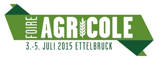 fae-logo-2015-520