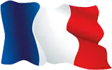 fahne frankreich
