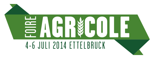 Logo FAE 2014