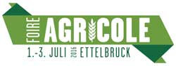Logo FAE 2016