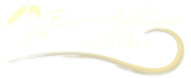 logo ardenner1