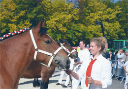 stella bastogne 300912 kopf260