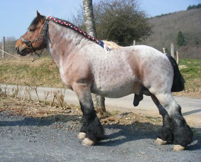 Adera de la Mess